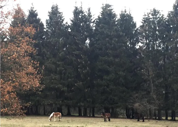 La Chenaie ורס סור-סמואה